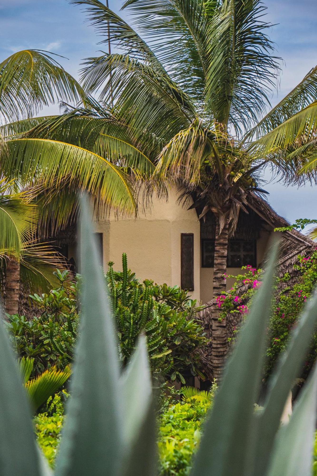 Sunshine Marine Lodge Matemwe  Ngoại thất bức ảnh