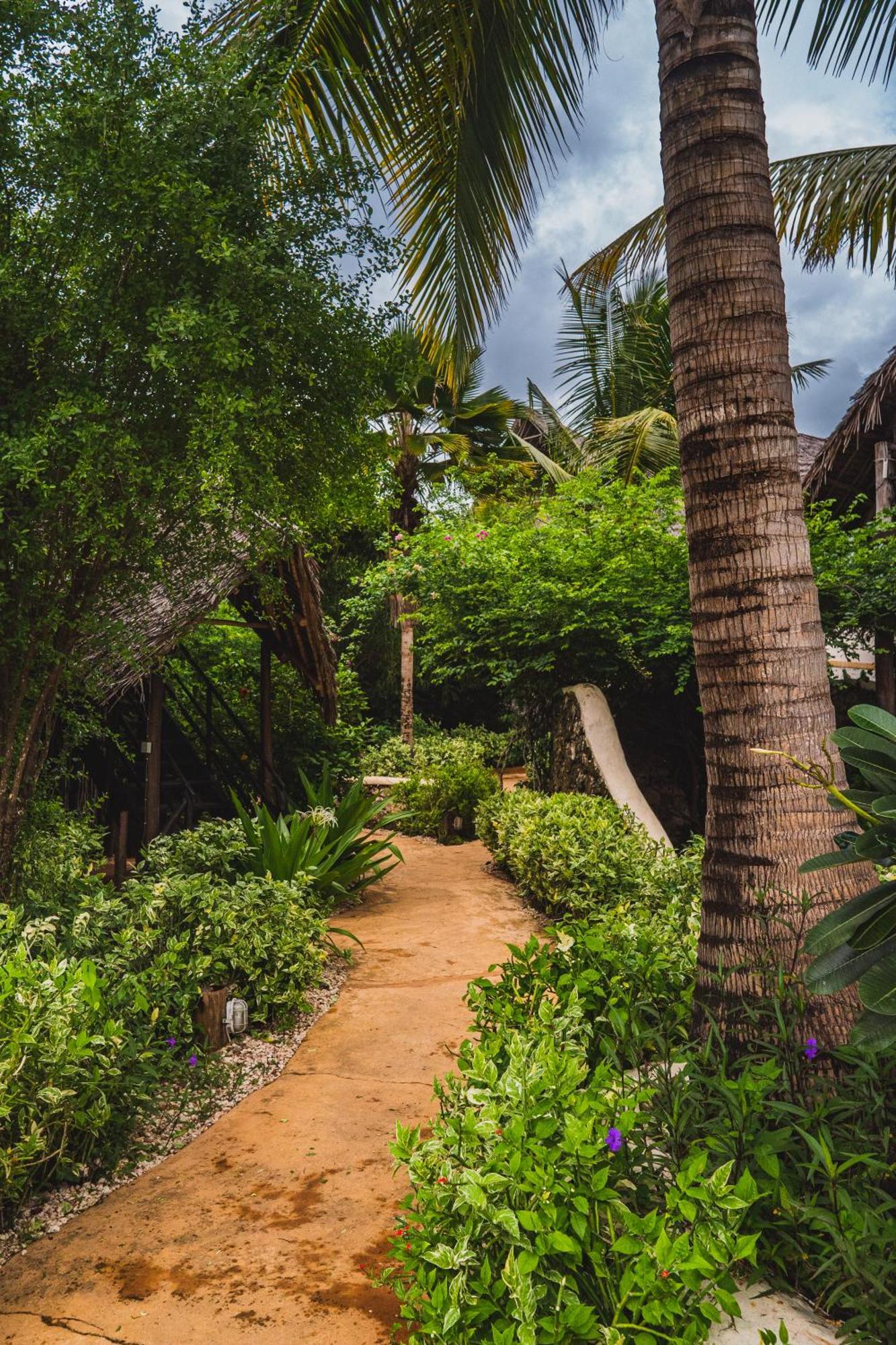 Sunshine Marine Lodge Matemwe  Ngoại thất bức ảnh